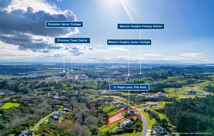 31 Regis Lane Flat Bush_29