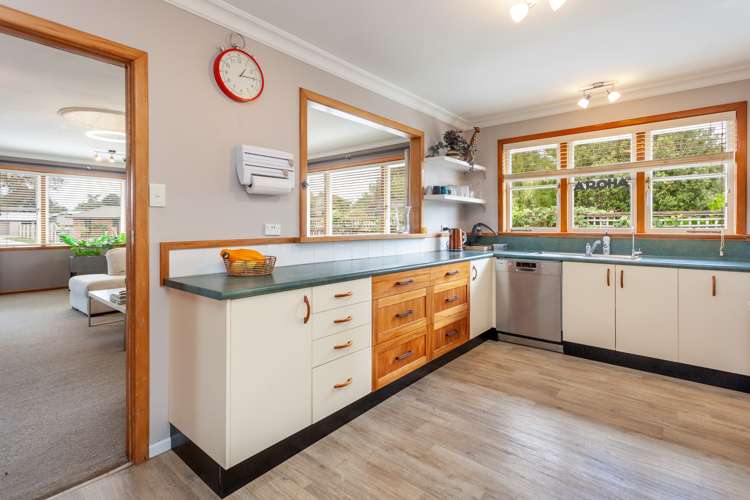 1 Haig Road Matamata_5