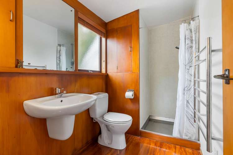 10 Violet Street Mount Albert_12