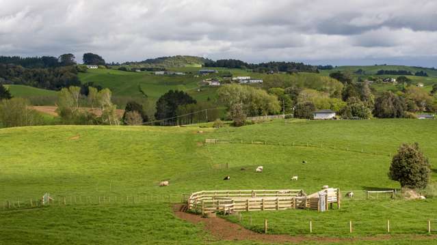 697 Maungatawhiri Road Raglan_3