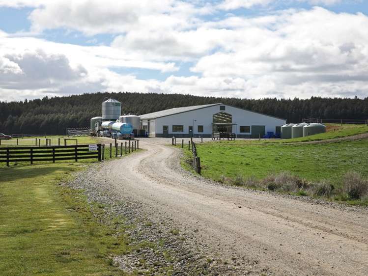 380 Matheson Road Catlins Surrounds_7