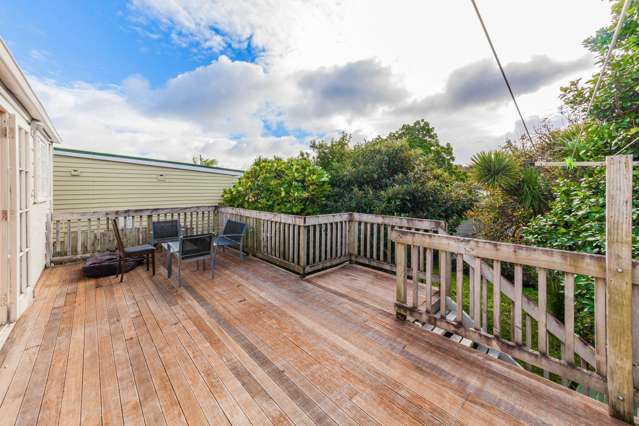 45 Rose Road Grey Lynn_1