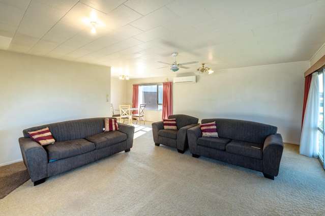 22 Freyberg Avenue Tamatea_2