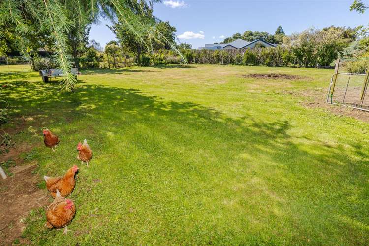 37 Mangauika Road Pirongia_29