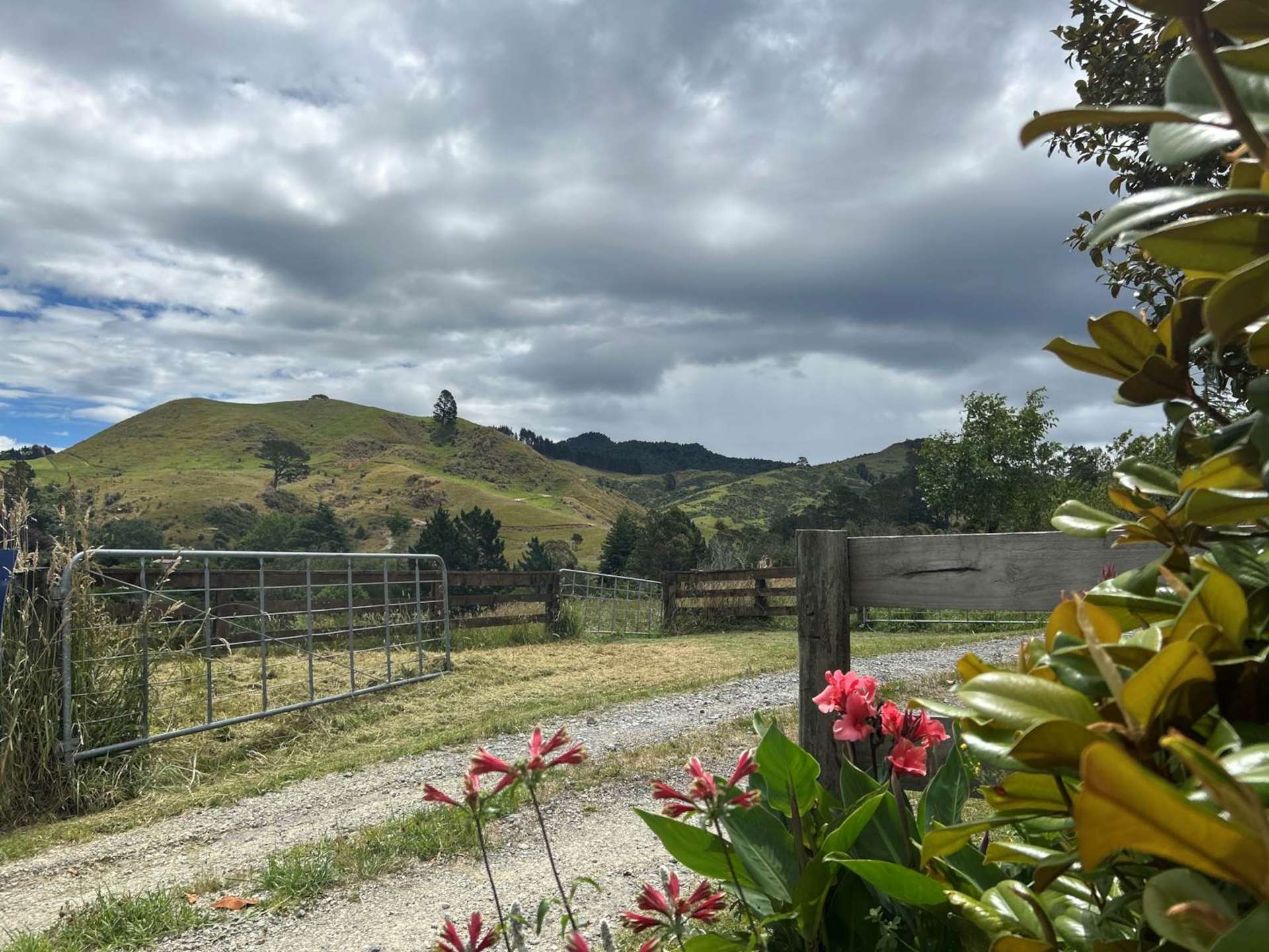 108C Savage Road Waihi_0