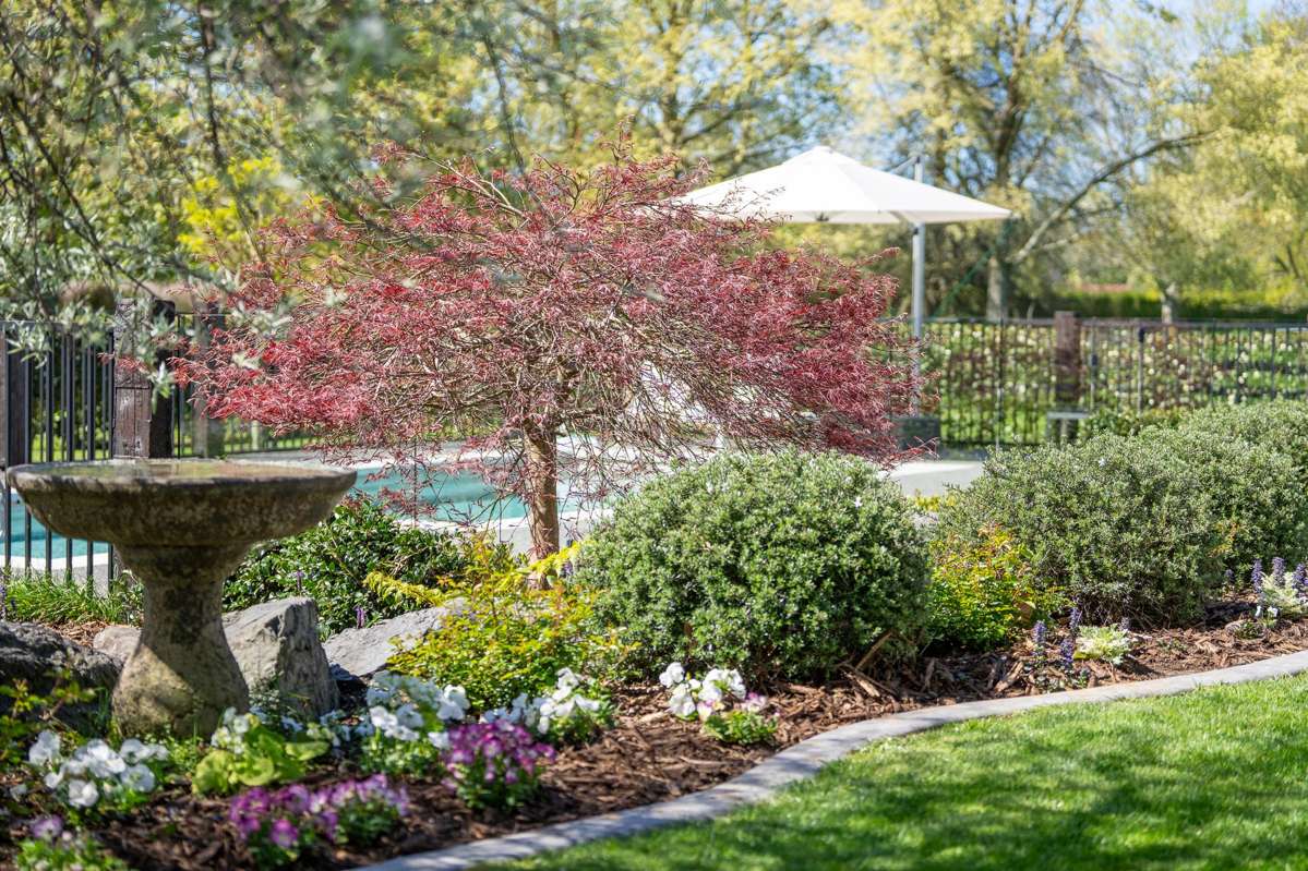 204 Mclarnon Road_4