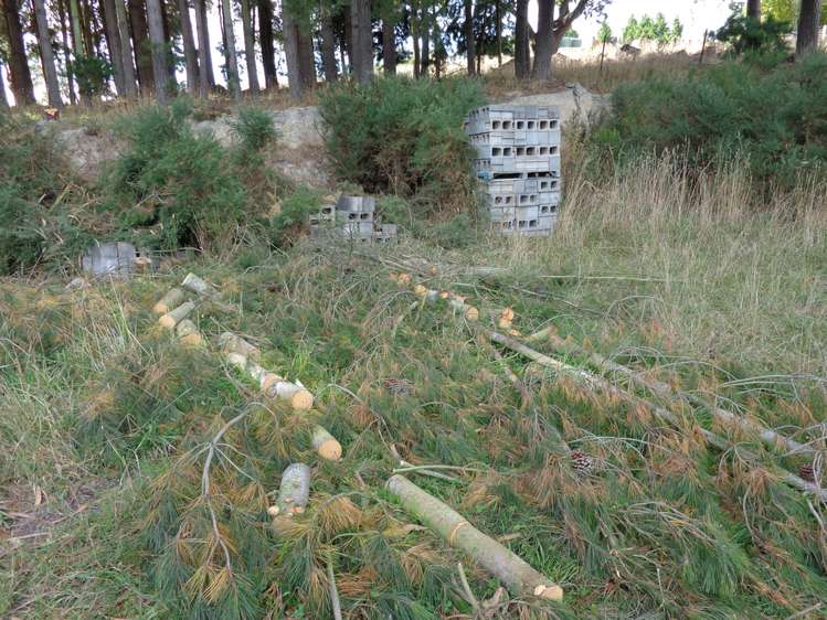 Scott Street Clutha_8