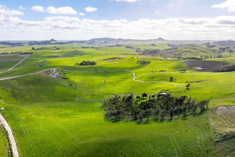 107 Molloy Road Ruawai_9