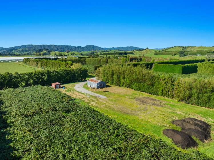 309 Otara Road Opotiki_6