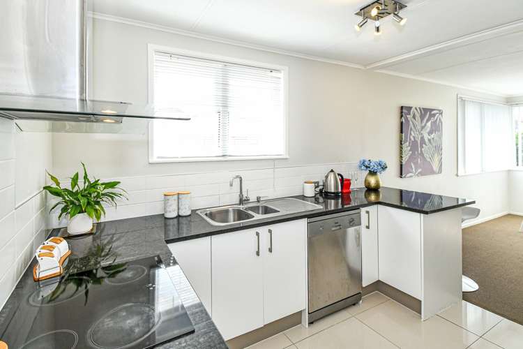 20b Nogat Avenue Papatoetoe_8
