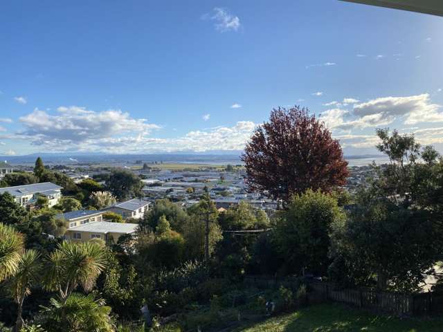 36 Chamberlain Street Tahunanui_3