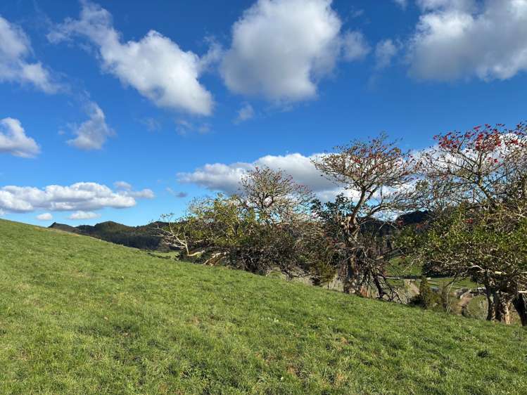 643 Whareora Road Whareora_12