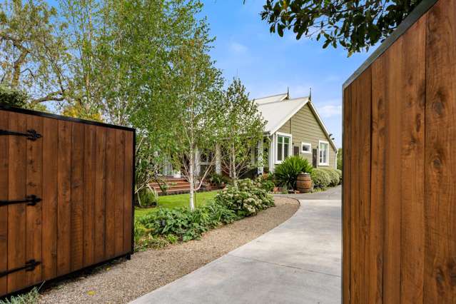 Character comfort, effortless entertainer