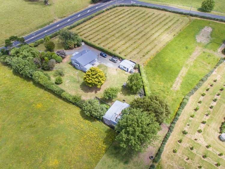 612 Morrinsville-Tahuna Road Morrinsville_11