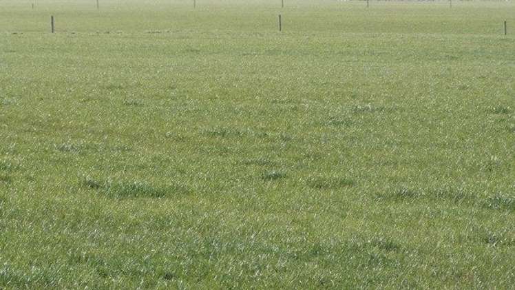 45 Tiwai Road Woodend_12