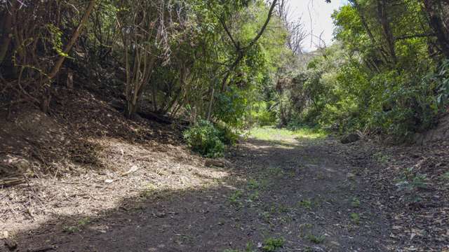 6 Plumwood Lane Cashmere_3