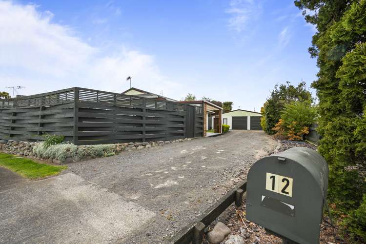 12 Mansell Crescent Bulls_25