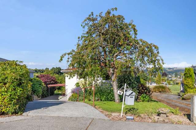 10 Lewis Street Gore_3