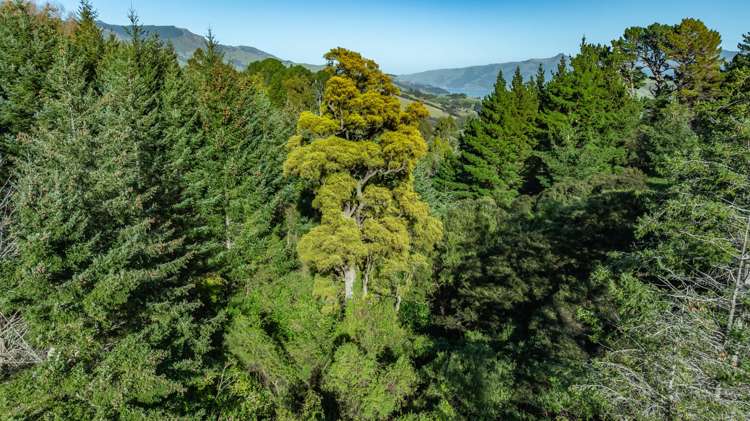 129 Bells Road Takamatua_6