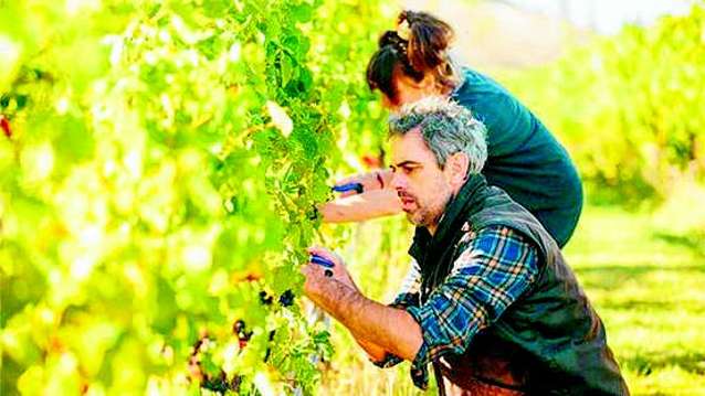 Organic wineries pin sales hopes on new China deal