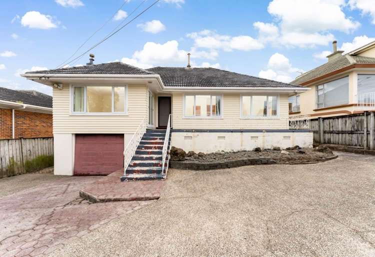 481 Hillsborough Road Mount Roskill_0
