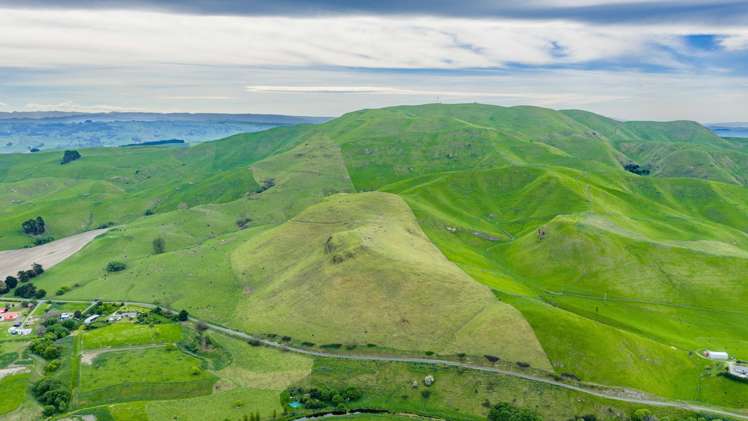 Corner Te Aute Trust Road and Aupaki Road Poukawa_16