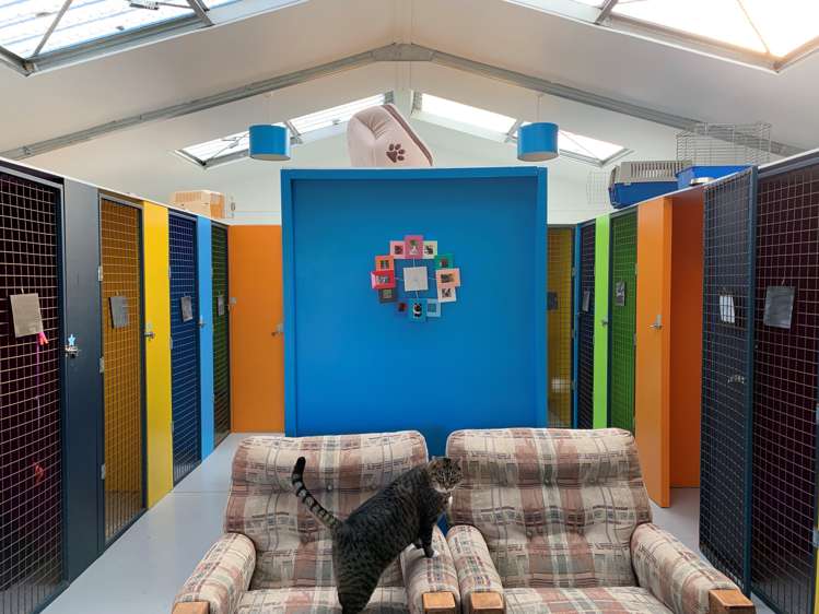 210 Terrace Road Leithfield_14