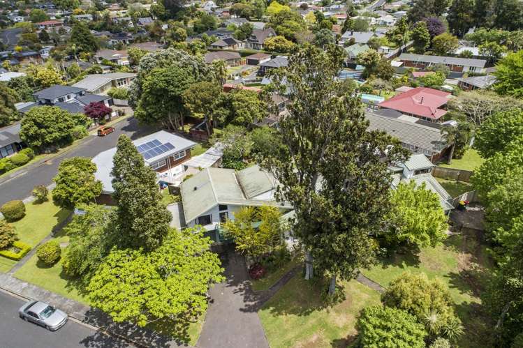 33 Callis Avenue Opaheke_15