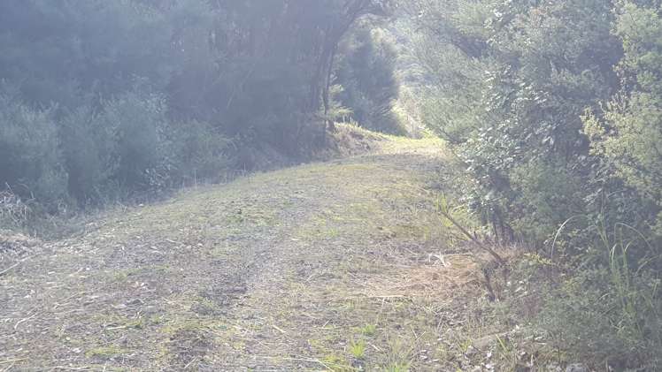 457 Tuateawa Road Tuateawa_15