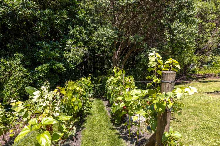 34 Goodwin Avenue Oneroa_38