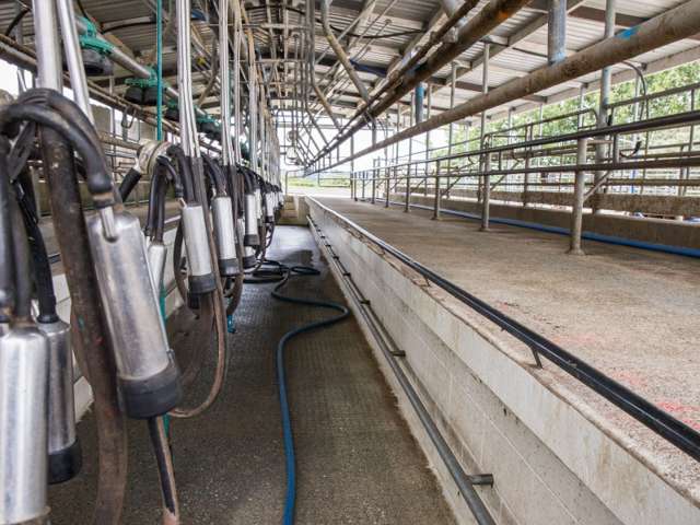 245 Opanake Road Dargaville Surrounds_2