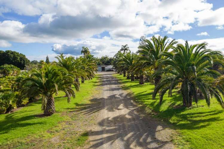 32 Wiroa Road Kerikeri_5