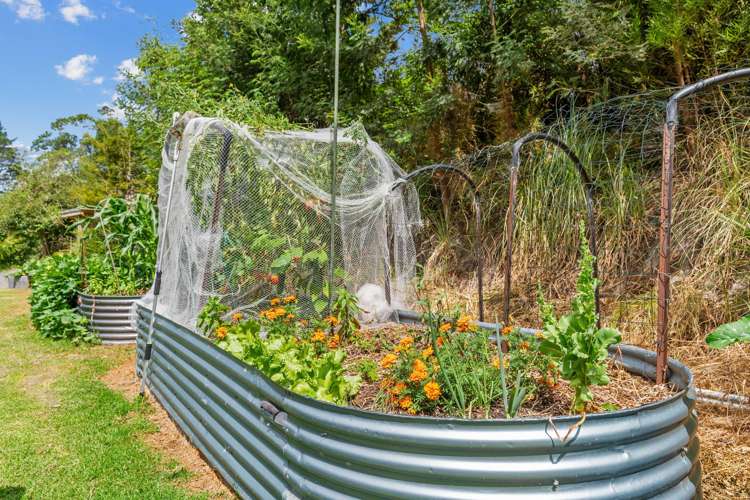 146A Hokianga Road Dargaville_25