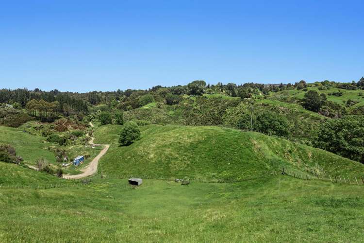 181d McCoy Road Wainui_20