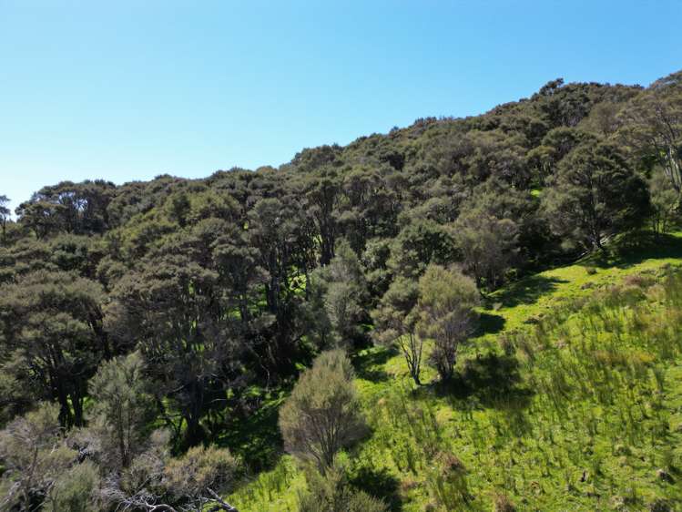 White Rock Road Martinborough_10