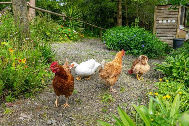 56a Kaipara Coast Highway Helensville_2