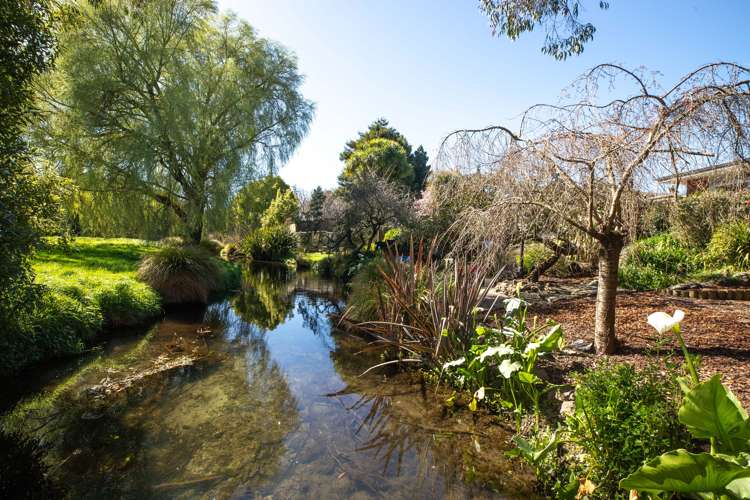 23 Renwick Place Hillmorton_27