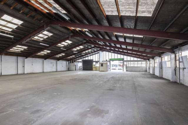 60 Buchan Street Sydenham_4