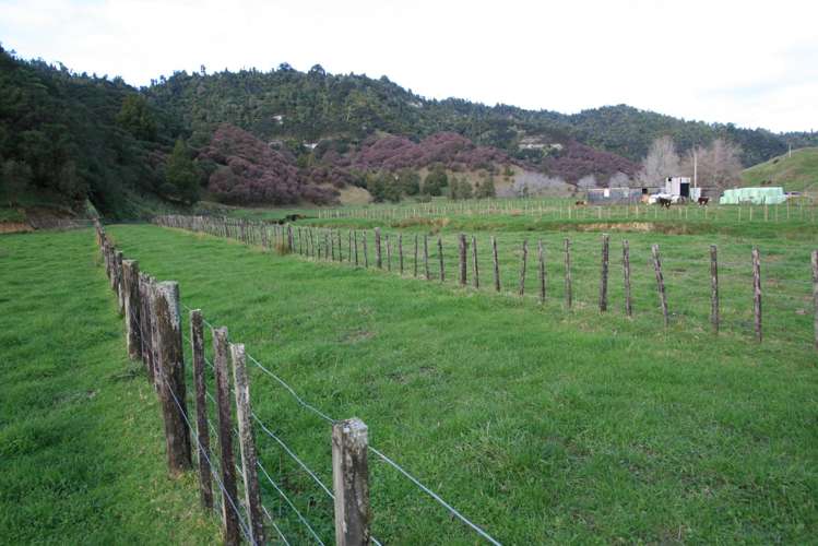 0n Mangaonga Road Ahititi_18