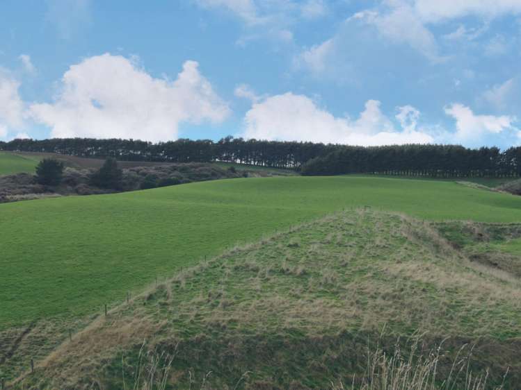 775 Otara Haldane Road Wyndham Surrounds_5