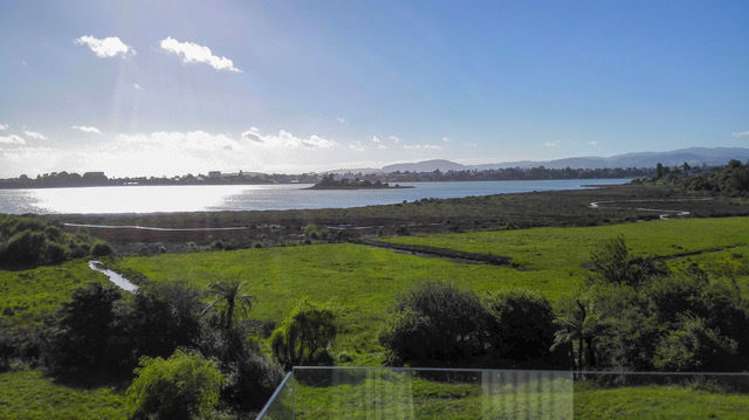 244a Grange Road Otumoetai_6