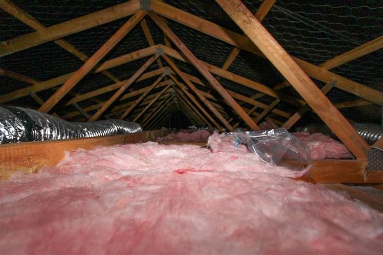 21b Kiwi Street Springfield_19