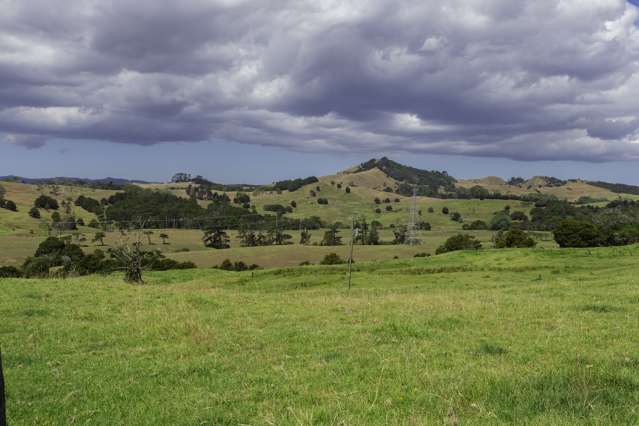 Kaipara Coast Highway Wellsford_1