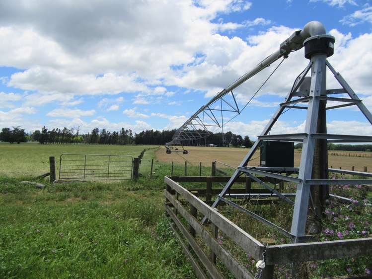 3389 State Highway 2 Takapau_3