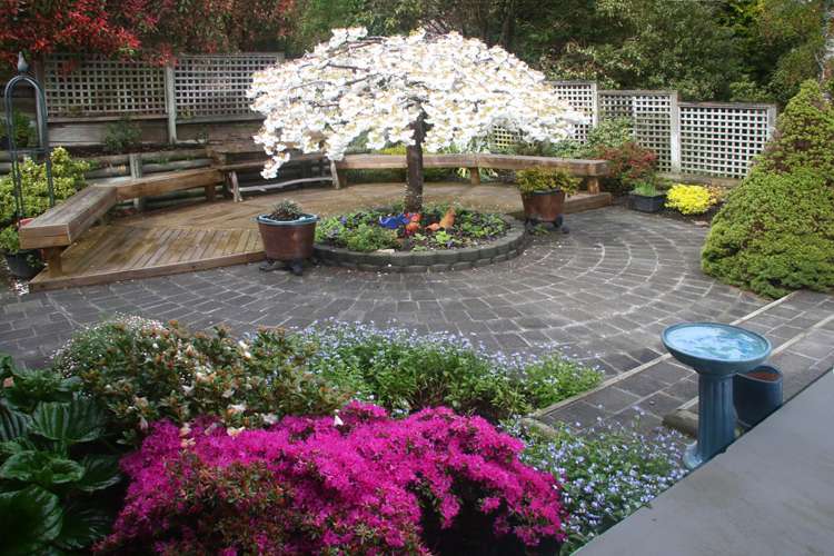 139 Doon Street Waverley_17