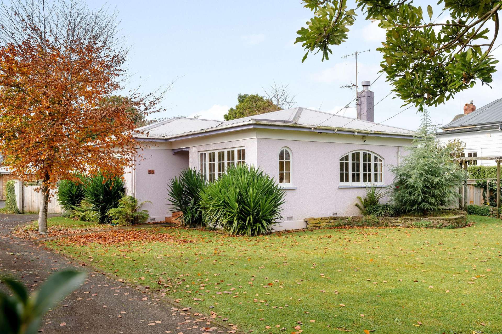 58 Firth Street Hamilton East_0