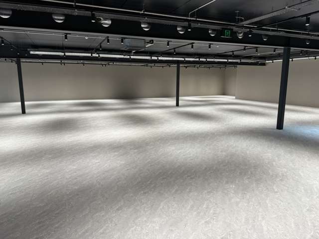 22 Munroe Street Napier South_1