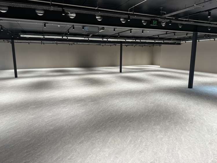 22 Munroe Street Napier South_1