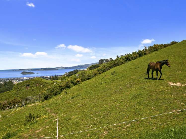 95 Sweetacres Drive Belmont_18