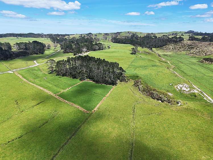 454 West Coast Road Te Kopuru_23